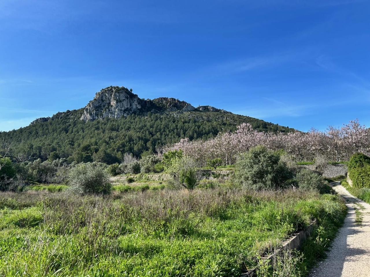Villa Casa Lima Orba Esterno foto